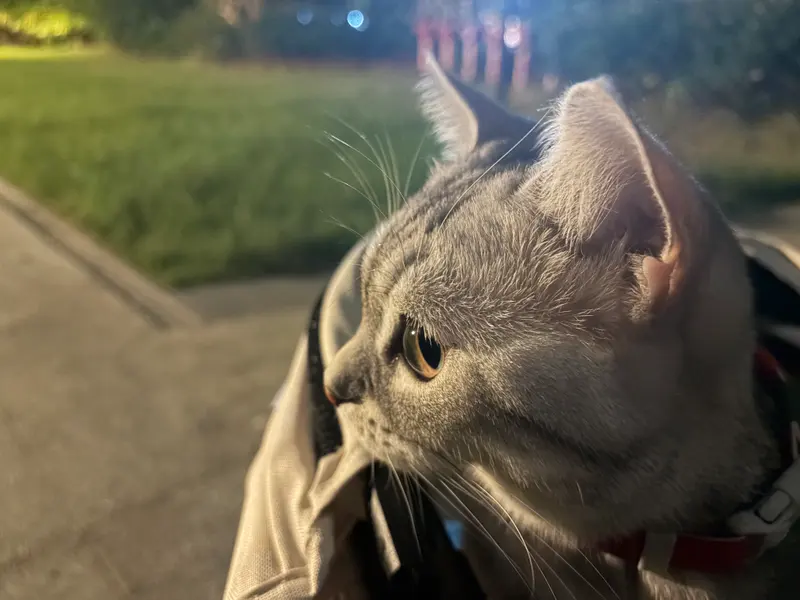 晶莹剔透眼