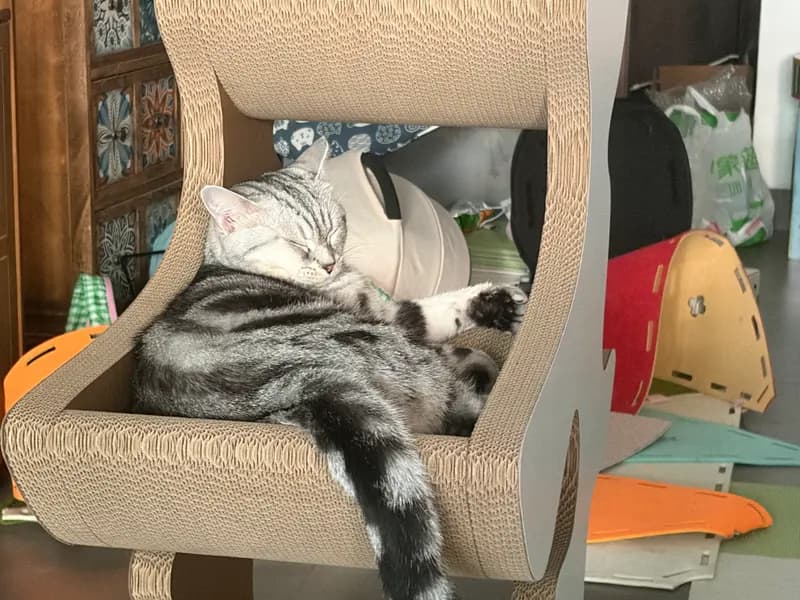 新到三层大床