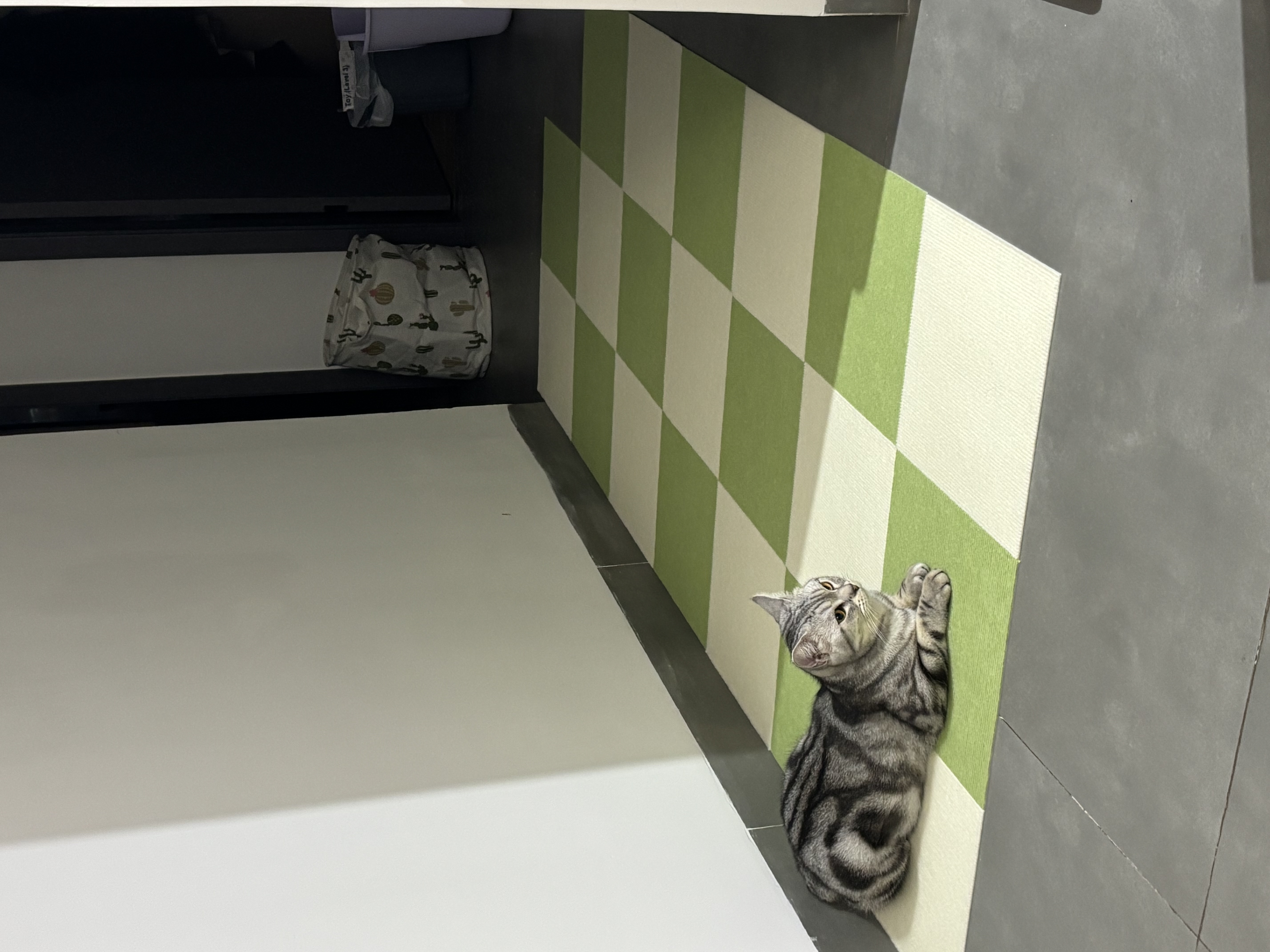 喜欢妈妈买的垫子