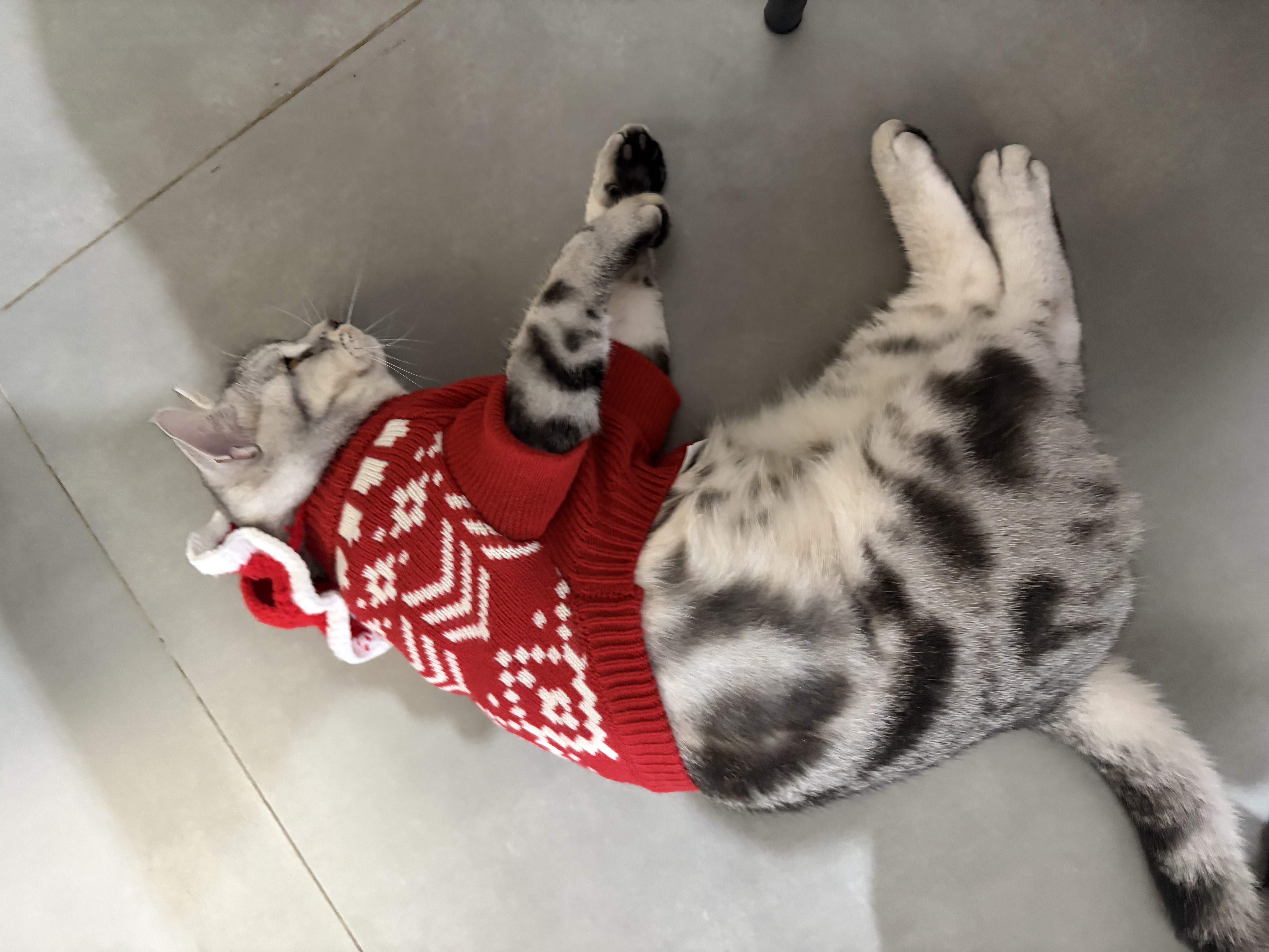 妈妈终于给我买到了muji红毛衣