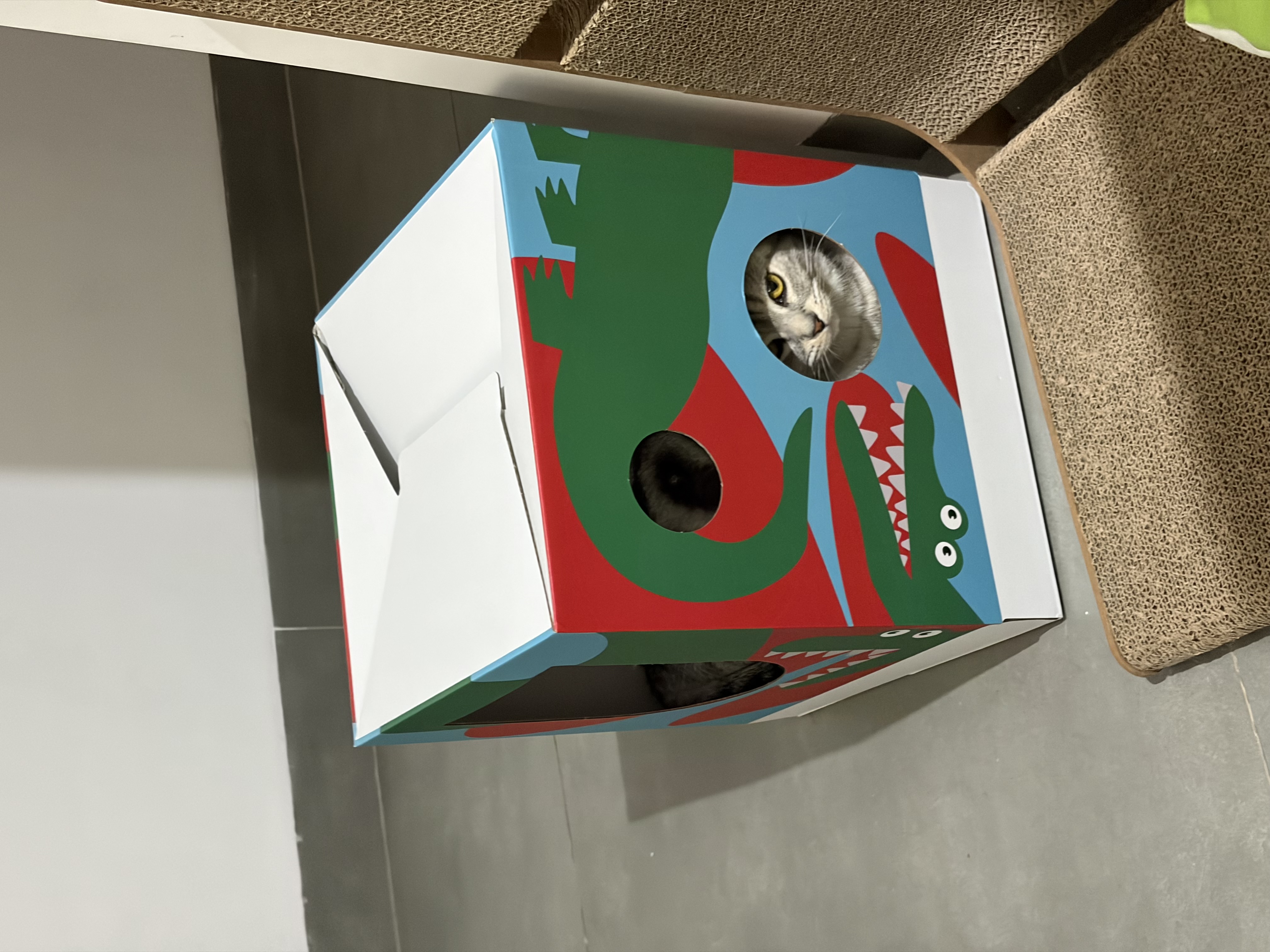 看不到我看不到我