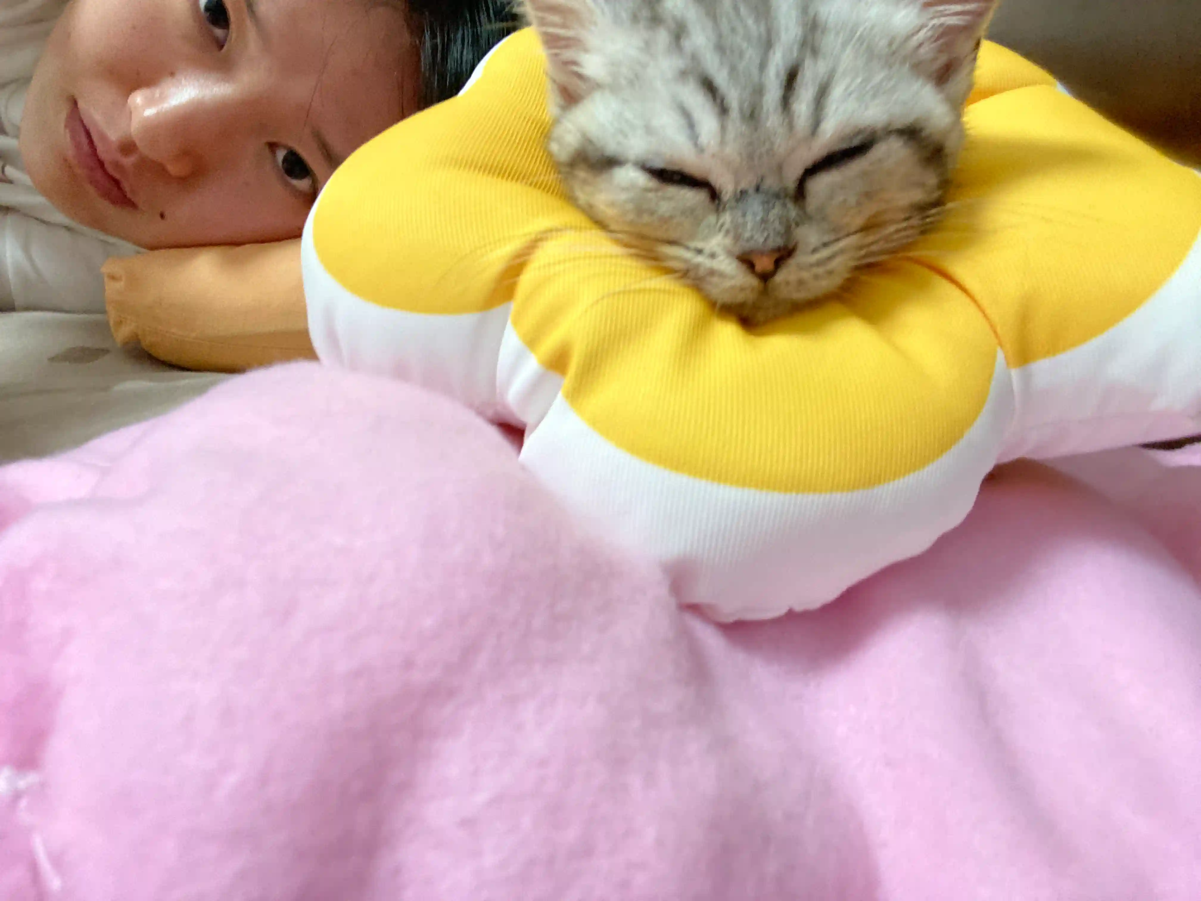 很困，勿扰