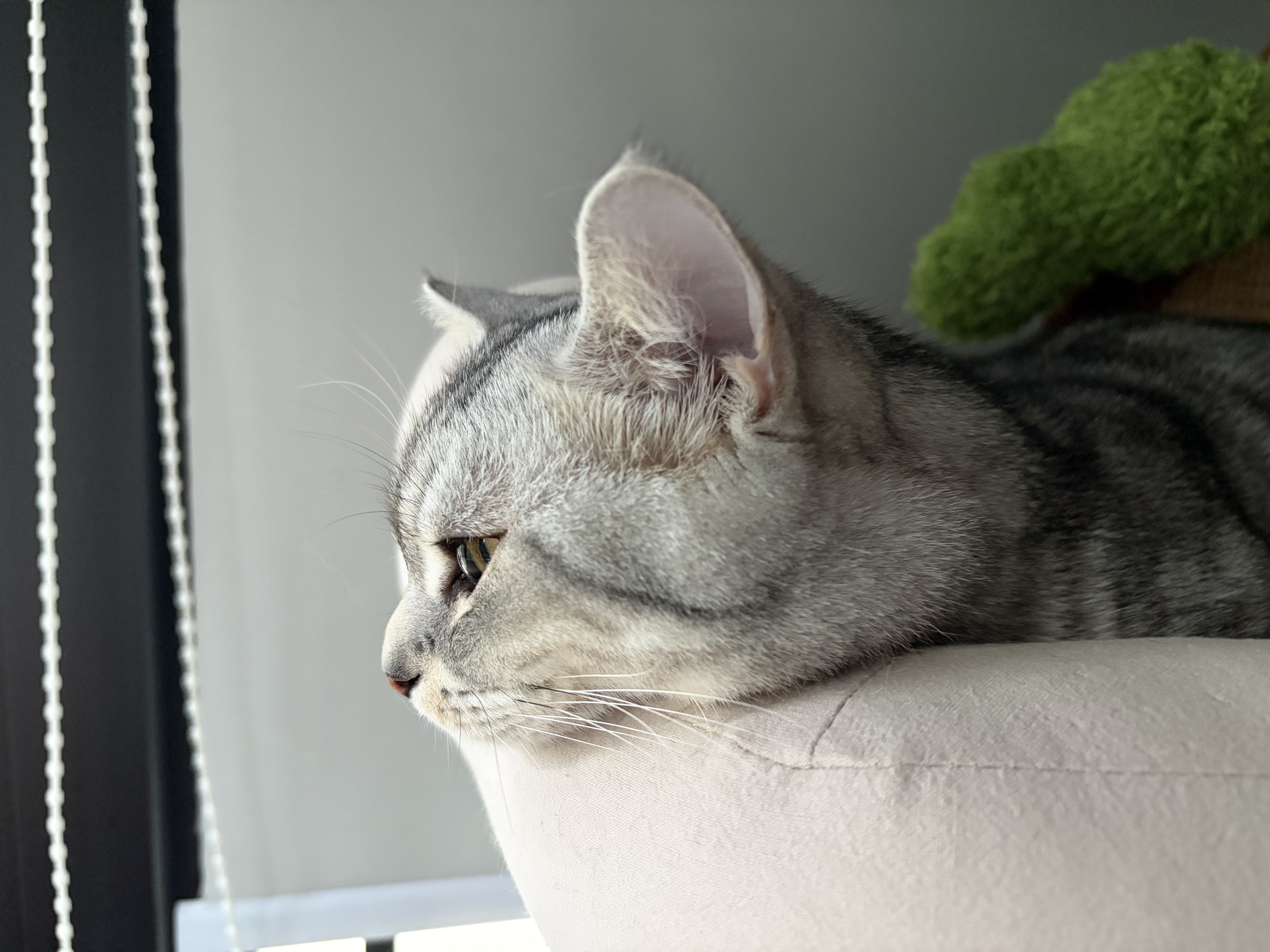 学不懂数学，惆怅